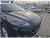 2021 Ford Escape SE (Stk: P3975L) in Dartmouth - Image 7 of 24