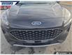 2021 Ford Escape SE (Stk: P3975L) in Dartmouth - Image 8 of 24