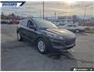 2021 Ford Escape SE (Stk: P3975L) in Dartmouth - Image 24 of 24