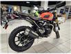2026 Triumph SCRAMBLER 400 X (Stk: 26TS-005) in Grande Prairie - Image 3 of 11