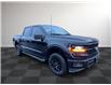 2024 Ford F-150 XLT (Stk: TL38039) in Windsor - Image 9 of 27