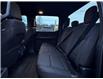 2024 Ford F-150 XLT (Stk: TL38039) in Windsor - Image 11 of 27