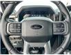 2025 Ford F-150 Lariat (Stk: 25AT8725) in Airdrie - Image 14 of 25