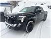 2023 Toyota Tundra SR (Stk: 14138) in Sudbury - Image 1 of 5