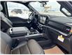 2025 Ford F-150 Tremor (Stk: S62935) in Hague - Image 11 of 13