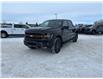 2025 Ford F-150 Tremor (Stk: S62935) in Hague - Image 4 of 13