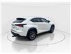 2019 Lexus NX 300 Base (Stk: 16104208B) in Markham - Image 9 of 13