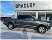2019 Ford F-150 Platinum (Stk: 25059A) in Moosomin - Image 1 of 11
