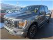 2022 Ford F-150 XLT (Stk: SK-394A) in Calgary - Image 1 of 24