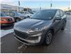 2022 Ford Escape SEL Hybrid (Stk: T-710A) in Calgary - Image 1 of 25