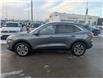 2022 Ford Escape SEL Hybrid (Stk: T-710A) in Calgary - Image 2 of 25