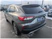 2022 Ford Escape SEL Hybrid (Stk: T-710A) in Calgary - Image 3 of 25