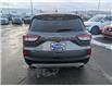 2022 Ford Escape SEL Hybrid (Stk: T-710A) in Calgary - Image 4 of 25