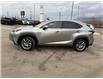 2020 Lexus NX 300 Base (Stk: 5017241K) in Cranbrook - Image 2 of 21
