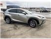 2020 Lexus NX 300 Base (Stk: 5017241K) in Cranbrook - Image 7 of 21