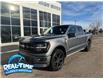 2025 Ford F-150 STX (Stk: 25377) in Claresholm - Image 1 of 19