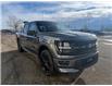 2025 Ford F-150 STX (Stk: 25377) in Claresholm - Image 2 of 19