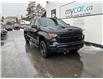 2023 Chevrolet Silverado 1500 Custom Trail Boss (Stk: 251403) in Ottawa - Image 1 of 15