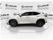 2023 Lexus NX 250  (Stk: 14U7174) in Markham - Image 6 of 25