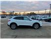 2022 Ford Escape Titanium Hybrid (Stk: ES536B) in Miramichi - Image 6 of 14