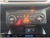 2021 Ford Bronco Sport Outer Banks (Stk: 03302) in GEORGETOWN - Image 14 of 19