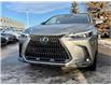 2022 Lexus NX 350h Base (Stk: 4609A) in Calgary - Image 3 of 19