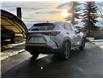 2022 Lexus NX 350h Base (Stk: 4609A) in Calgary - Image 4 of 19