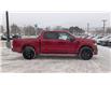 2025 Ford F-150 STX (Stk: F1393) in Miramichi - Image 6 of 13