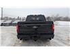 2025 Ford F-150 STX (Stk: F1392) in Miramichi - Image 4 of 7
