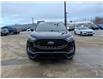 2023 Ford Edge  (Stk: 24318) in Miramichi - Image 8 of 14