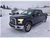 2016 Ford F-150  (Stk: 26111A) in Rouyn-Noranda - Image 1 of 21