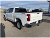 2025 Chevrolet Silverado 1500 LT (Stk: PW0011) in Pincher Creek - Image 3 of 16