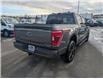 2021 Ford F-150 XLT (Stk: 19391) in Calgary - Image 5 of 23
