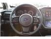 2026 Subaru Crosstrek Convenience (Stk: 216722) in Cranbrook - Image 17 of 22