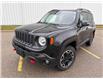 2016 Jeep Renegade Trailhawk (Stk: 165066) in London - Image 1 of 10