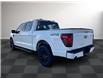 2024 Ford F-150 XLT (Stk: PR50405) in Windsor - Image 4 of 27
