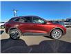 2021 Ford Escape Titanium (Stk: 6934) in Calgary - Image 3 of 9