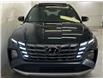 2024 Hyundai Tucson Hybrid N Line (Stk: 43383J) in Belleville - Image 2 of 28