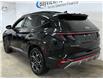 2024 Hyundai Tucson Hybrid N Line (Stk: 43383J) in Belleville - Image 4 of 28