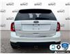 2012 Ford Edge SEL (Stk: 25C438AA) in Tillsonburg - Image 5 of 24