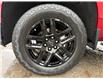2022 Chevrolet Silverado 1500 LTD Custom Trail Boss (Stk: 45591A) in Newmarket - Image 49 of 50
