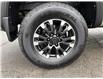 2020 Nissan Titan PRO-4X (Stk: P7202) in Brantford - Image 22 of 26
