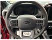 2025 Ford F-150 XLT (Stk: 26005) in Melfort - Image 17 of 21