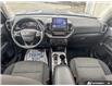 2024 Ford Bronco Sport Big Bend (Stk: XBO273) in Sarnia - Image 24 of 25
