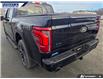 2025 Ford F-150 Lariat (Stk: 28256) in Dartmouth - Image 9 of 24