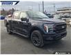 2025 Ford F-150 Lariat (Stk: 28256) in Dartmouth - Image 24 of 24