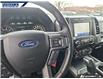 2020 Ford F-150 XLT (Stk: P5978) in Dartmouth - Image 15 of 24