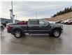 2021 Ford F-150 Lariat (Stk: 5T093A) in Williams Lake - Image 6 of 12