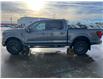 2025 Ford F-150 Tremor (Stk: S62221) in Hague - Image 5 of 14
