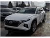 2022 Hyundai Tucson  (Stk: 251447A) in Ottawa - Image 10 of 44